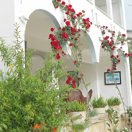 Otel Garden Prizma Rooms&aparts