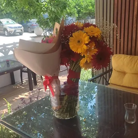 בית אירוח Garden Prizma Rooms&aparts
