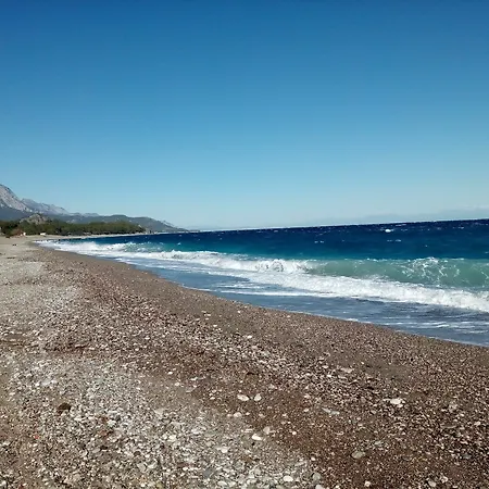 Séjour chez l'habitant Garden Prizma Rooms&aparts *